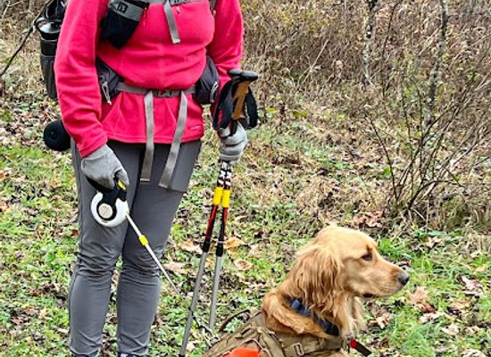 kentucky/sheltowee-trace-national-recreation-trail/bar/sheltowee-trace-trail-north-terminus-section-1
