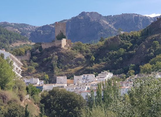 spain/cazorla-natural-park/bar/meson-el-jamon