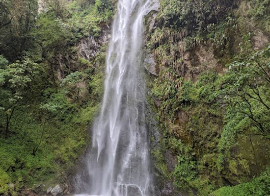 colombia/risaralda-department/bar/cascadas-de-cocora