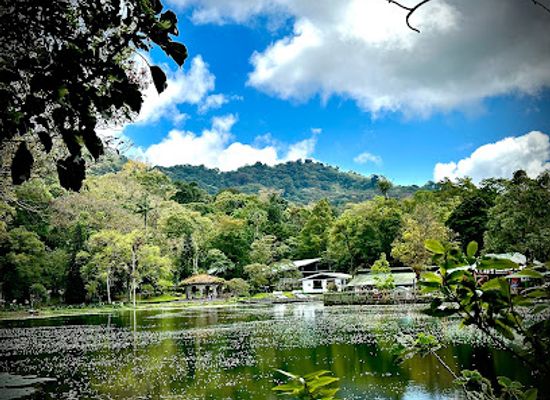 nicaragua/selva-negra-coffee-estate/bar/selva-negra-restaurante