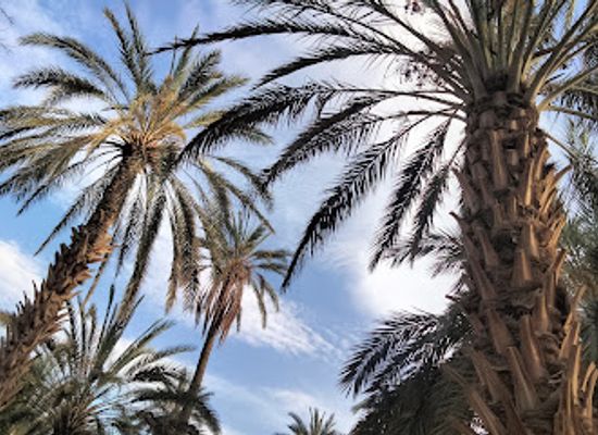 tunisia/the-dahar-mountains/bar/sahara-lounge