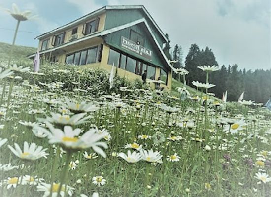 india/gulmarg/bar/lala-guest-house-restaurant