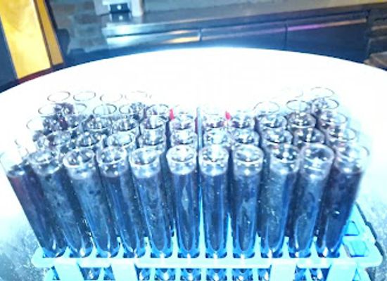 croatia/hvar-island/bar/hvar-pub-crawl