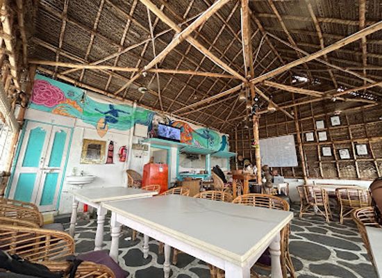 india/mahabalipuram/bar/shaka-shack