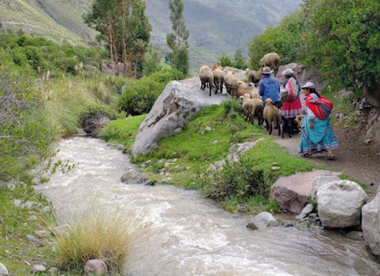 peru/colca-canyon-trek/bar/restaurant-turistico-misti-wasi