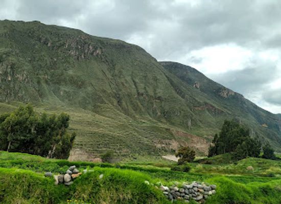peru/colca-canyon-trek/bar/rest-los-portales-de-chivay