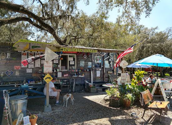 florida/central-florida/bar/wild-sassa-food-trailer