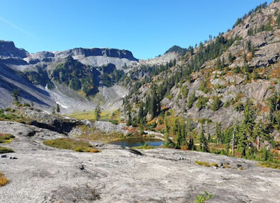washington/mount-baker-snoqualmie-national-forest/bar/mt-baker-snoqualmie-national-forest