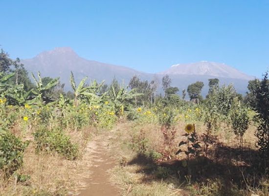 tanzania/mahale-mountains/bar/mile-6