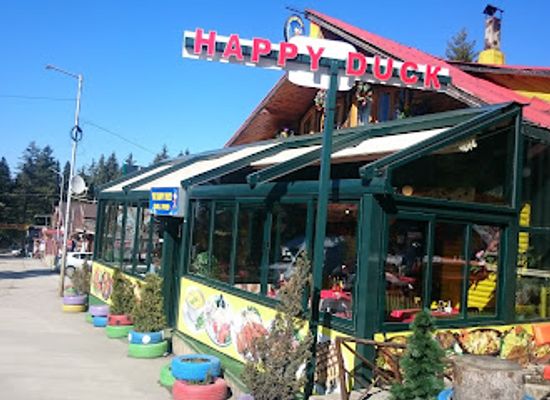 bulgaria/borovets/bar/happy-duck