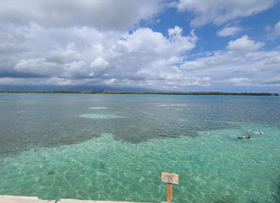 jamaica/yallahs-valley/bar/floyd-s-pelican-bar