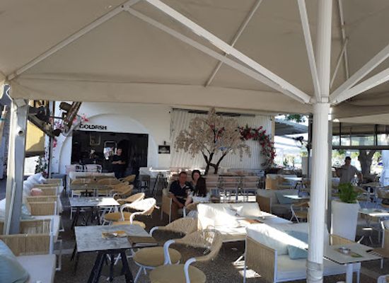 greece/skiathos/bar/goldfish