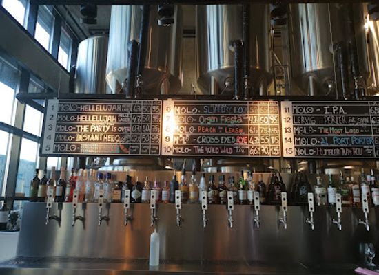 norway/alesund/bar/molo-brew