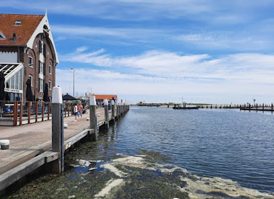 netherlands/wadden-islands/bar/restaurant-t-pakhuus