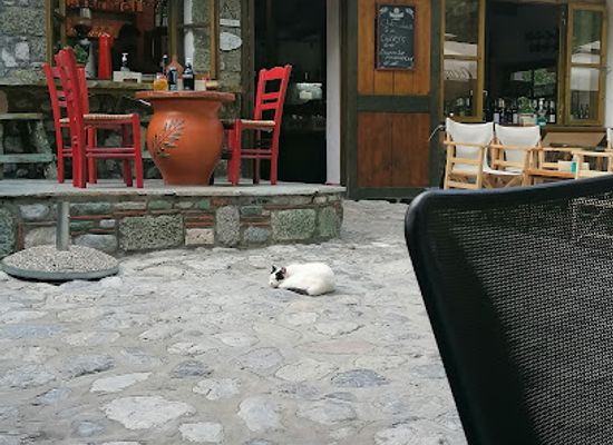 greece/mount-olympus/bar/u