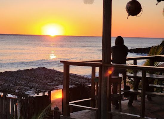 saint-kitts-and-nevis/middle-island/bar/rum-dawg-beach-bar-grill
