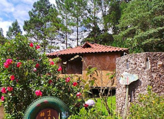 nicaragua/esteli-cigar-tours/bar/finca-neblina-del-bosque