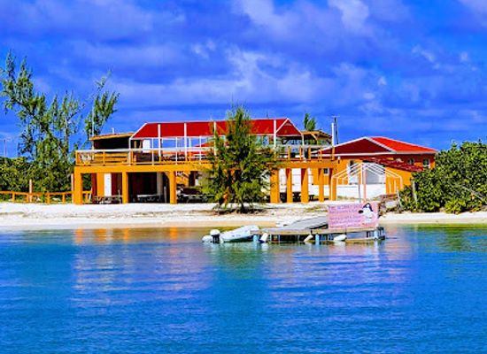 british-virgin-islands/anegada-beaches/bar/the-wonky-dog