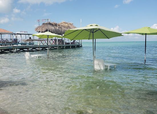 belize/northern-belize/bar/maruba-beach-klub