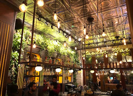 hungary/budapest/jewish-quarter/bar/jardin-cocktail-bar