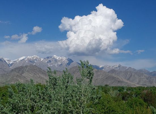afghanistan/kapisa/bar/