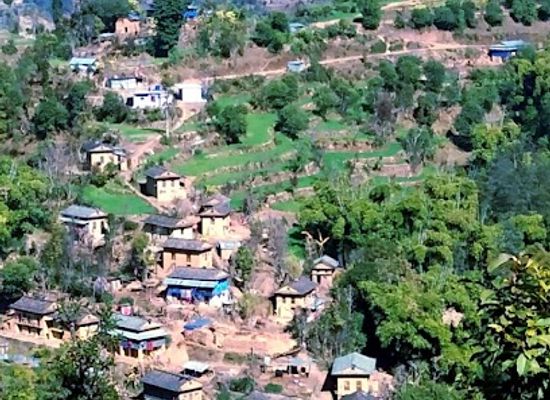 nepal/rapti-zone/bar/pradip-cold-store