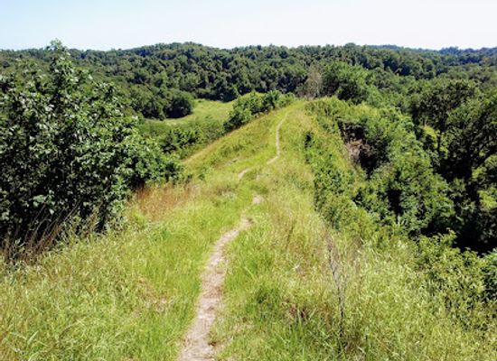 missouri/loess-hills/bar/loess-bluffs-national-wildlife-refuge