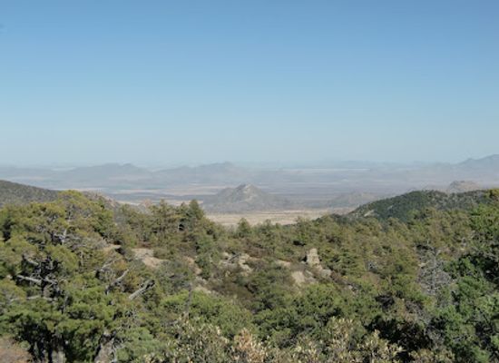 arizona/chiricahua-mountains/bar/chiricahua-wilderness