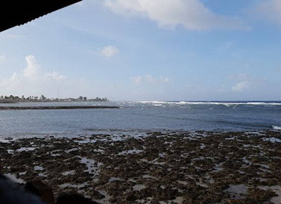 marshall-islands/lae-atoll/bar/marshall-islands-club