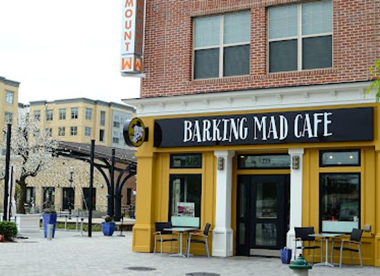 maryland/gaithersburg/bar/barking-mad