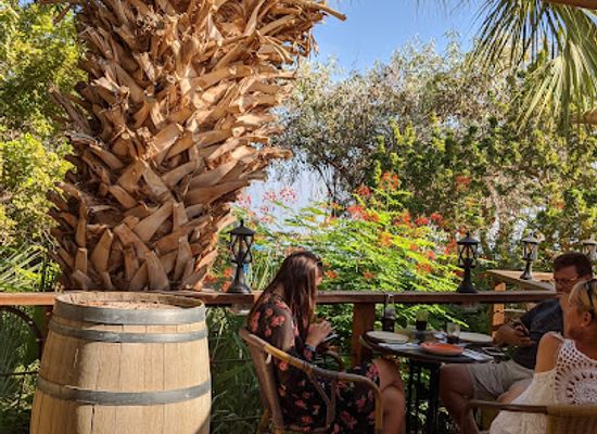 israel/ein-gedi/bar/baobar