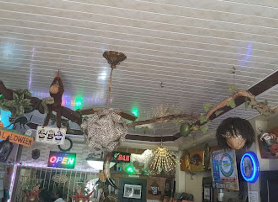 trinidad-and-tobago/mayaro-rio-claro/bar/rum-jungle
