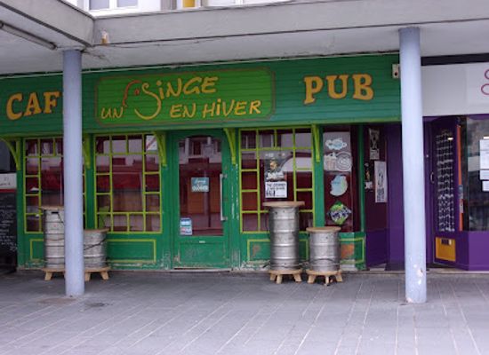 france/nord-pas-de-calais/bar/un-singe-en-hiver