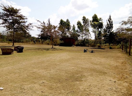 zambia/kafue-national-park/bar/salich-gardens