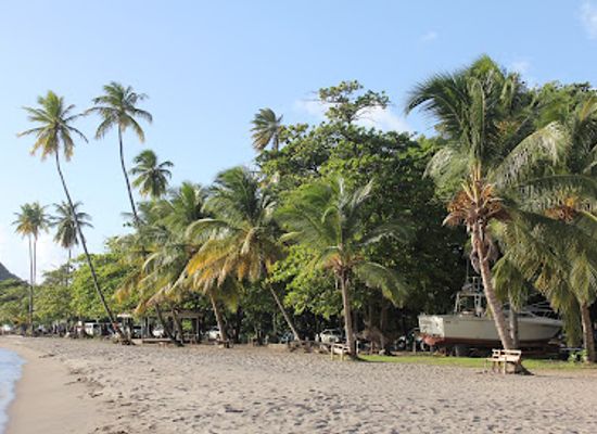 dominica/calibishie-beach/bar/purple-turtle-beach-club