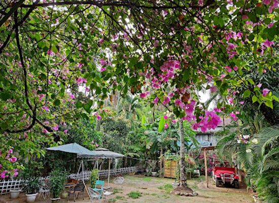 bangladesh/sylhet-division/bar/pach-bhai-restaurant