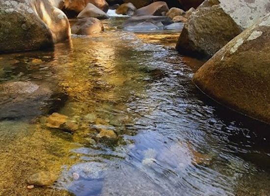 brazil/serra-dos-orgaos-national-park/bar/parque-nacional-da-serra-dos-orgaos-parnaso-sede-teresopolis