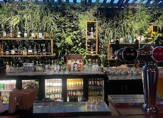 india/south-india/bar/three-dots-and-a-dash
