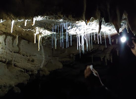 new-zealand/waitomo-caves/bar/footwhistle-glowworm-cave