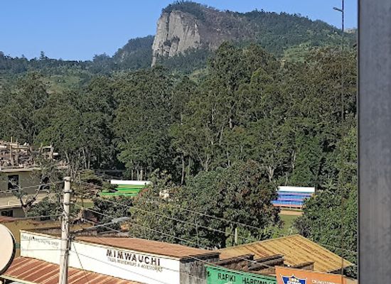 kenya/taita-hills/bar/lavender-gardens-and-restaurant