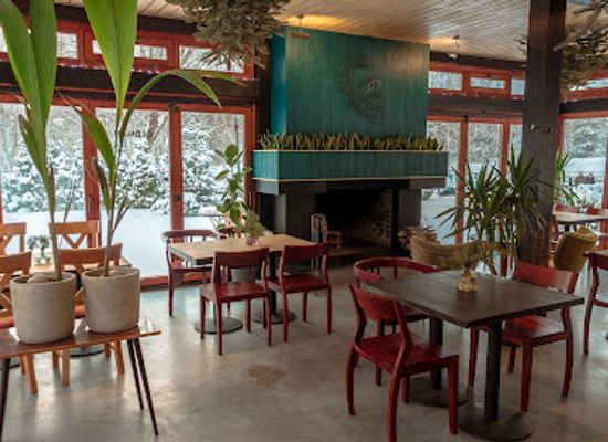 lithuania/palanga-beach/bar/oldman-palanga