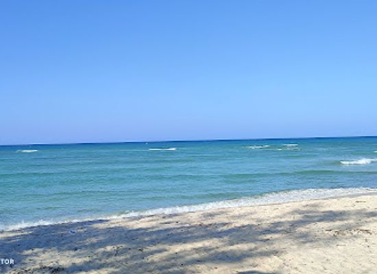 mozambique/gaza-province/bar/no-shabane-zq