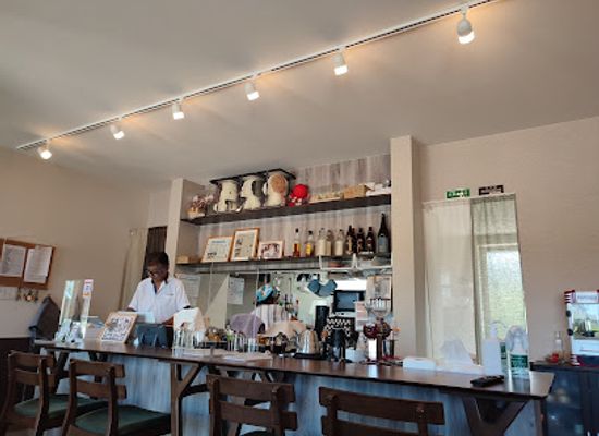 japan/noto/bar/momo