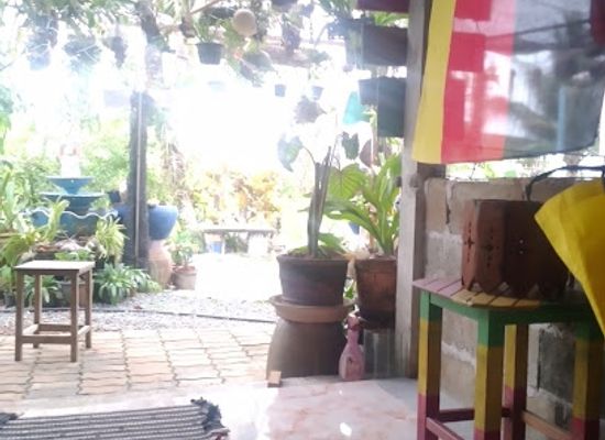 thailand/trat/bar/home-reggae-aka-the-reggae-bar