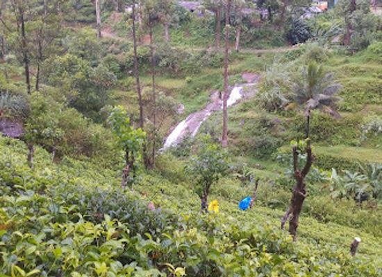 sri-lanka/adam-s-peak/bar/luccumbe-bar