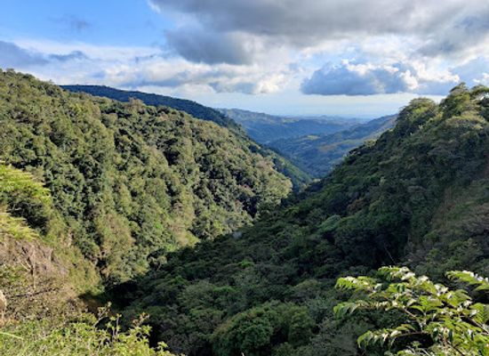 costa-rica/monteverde-cloud-forest/bar/soda-la-amistad