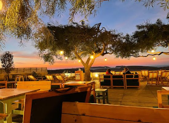 morocco/chiadma/bar/ocean-vagabond