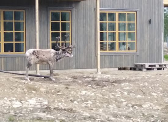 sweden/vemdalen/bar/vemdalsskalet-sorgardarna-l33