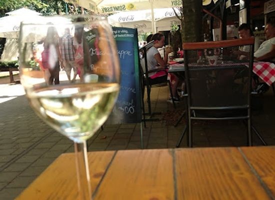 hungary/keszthely/bar/csaba-winery