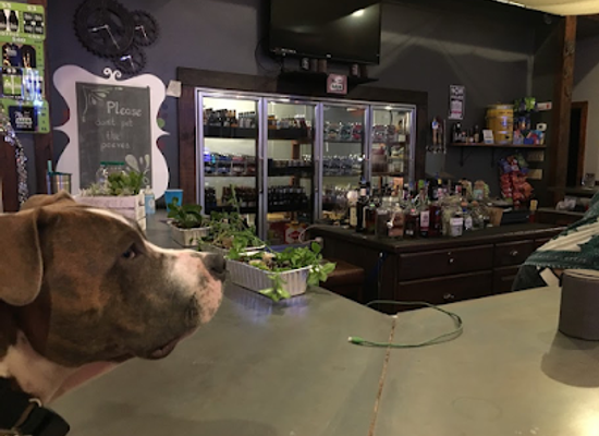 north-dakota/standing-rock-indian-reservation/bar/the-ugly